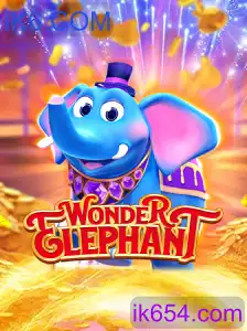 WonderElephant